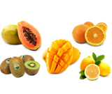 杏花樓感恩冊258型