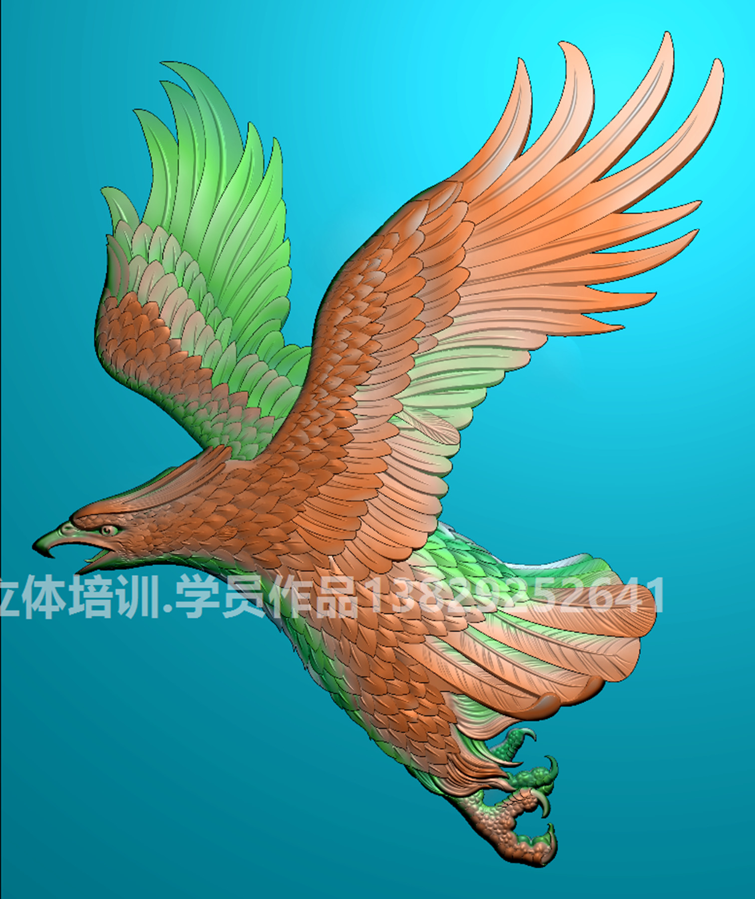 老鷹