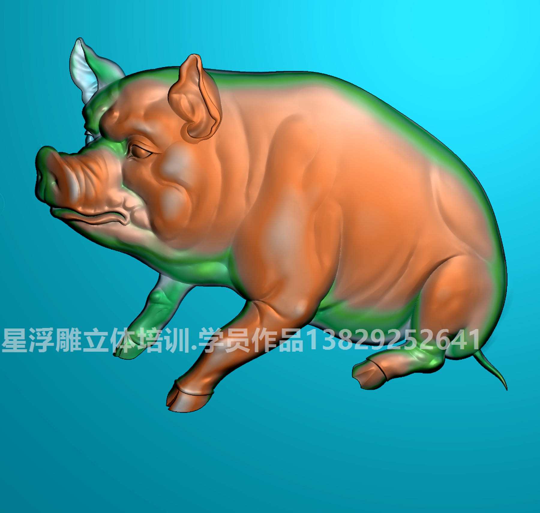 豬
